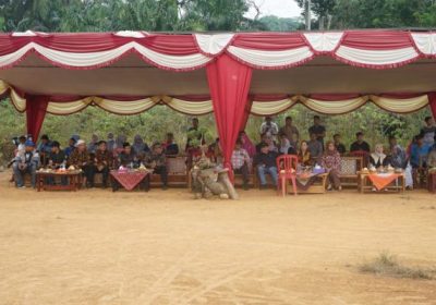 Event Badan Usaha Milik Desa (BUMDES) Proaktif Bengkulu Tengah