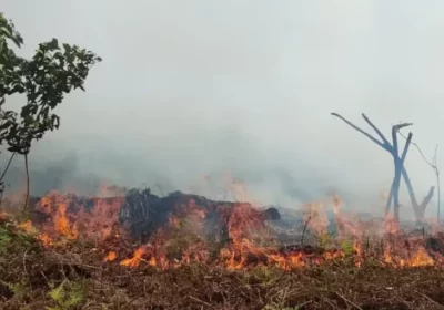 Kebakaran Lahan di Lahan UINFAS Nyaris Menjalar ke Pemukiman Warga