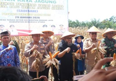 Kapolda Bengkulu Hadiri Panen Raya Jagung dan Pemberian Hadiah Lomba SADESAHE Provinsi Bengkulu Tahun 2025
